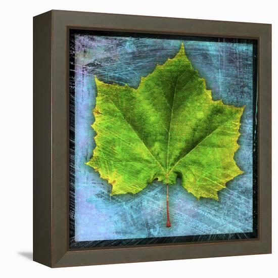 Sycamore-John W Golden-Framed Premier Image Canvas