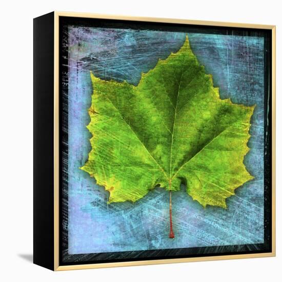 Sycamore-John W Golden-Framed Premier Image Canvas