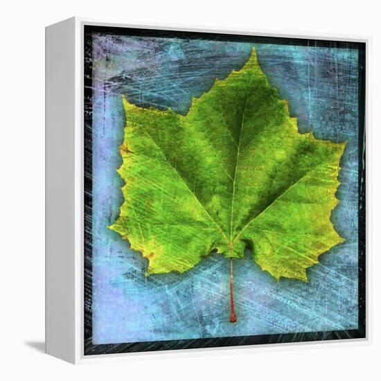 Sycamore-John W Golden-Framed Premier Image Canvas