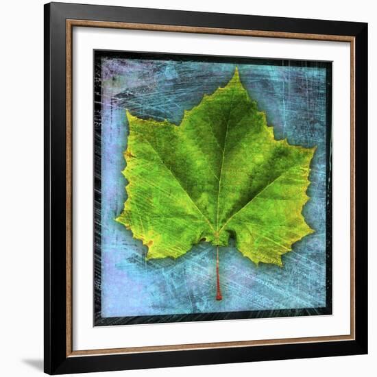 Sycamore-John W Golden-Framed Giclee Print