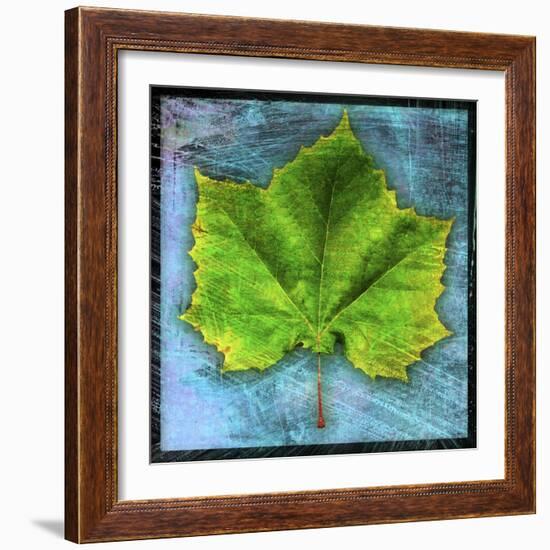 Sycamore-John W Golden-Framed Giclee Print