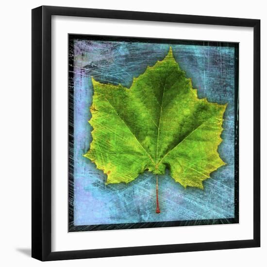 Sycamore-John W Golden-Framed Giclee Print