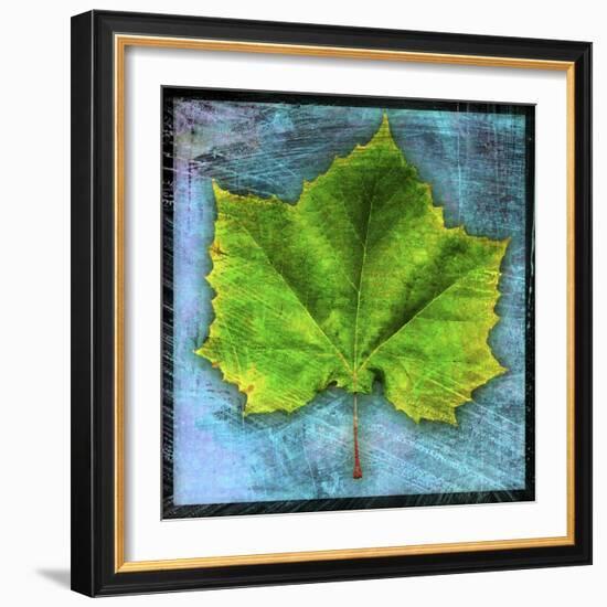 Sycamore-John W Golden-Framed Giclee Print