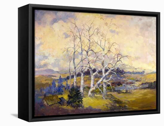 Sycamores-Thomas McGlynn-Framed Stretched Canvas