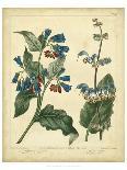Cottage Florals V-Sydenham Edwards-Art Print