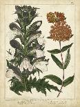 Cottage Florals V-Sydenham Teast Edwards-Art Print