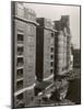 Sydney, 1930s-null-Mounted Photographic Print