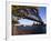 Sydney Harbor Bridge and Sydney Opera House, Australia-David Wall-Framed Photographic Print