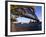 Sydney Harbor Bridge and Sydney Opera House, Australia-David Wall-Framed Photographic Print