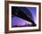 Sydney Harbour Bridge at Dusk , Sydney, New South Wales, Australia-Steve Vidler-Framed Photographic Print