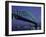 Sydney Harbour Bridge, Sydney, Australia-null-Framed Photographic Print