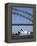 Sydney Opera House and Harbour Bridge, Sydney, New South Wales (N.S.W.), Australia-Fraser Hall-Framed Premier Image Canvas