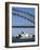 Sydney Opera House and Harbour Bridge, Sydney, New South Wales (N.S.W.), Australia-Fraser Hall-Framed Photographic Print