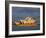 Sydney Opera House and Harbour, Sydney, New South Wales, Australia, Pacific-Julia Bayne-Framed Photographic Print