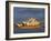 Sydney Opera House and Harbour, Sydney, New South Wales, Australia, Pacific-Julia Bayne-Framed Photographic Print