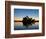 Sydney Opera House at Dawn, Sydney, Australia-David Wall-Framed Photographic Print