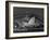 Sydney, Opera House at Dusk, Australia-Peter Adams-Framed Photographic Print