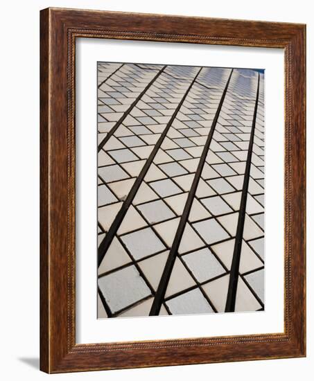 Sydney Opera House Close Up, UNESCO World Heritage Site, Sydney, New South Wales, Australia-Matthew Williams-Ellis-Framed Photographic Print