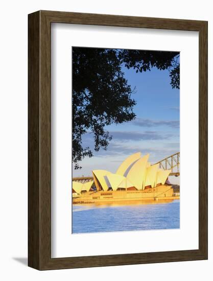 Sydney Opera House & Harbour Bridge, Darling Harbour, Sydney, New South Wales, Australia-Doug Pearson-Framed Photographic Print