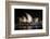 Sydney Opera House Lit Up at Night, Sydney, New South Wales, Australia-null-Framed Photographic Print