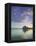 Sydney Opera House, Sydney, New South Wales, Australia-Walter Bibikow-Framed Premier Image Canvas