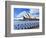 Sydney Opera House, Sydney, New South Wales, Australia-Miva Stock-Framed Photographic Print