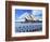 Sydney Opera House, Sydney, New South Wales, Australia-Miva Stock-Framed Photographic Print