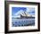 Sydney Opera House, Sydney, New South Wales, Australia-Miva Stock-Framed Photographic Print