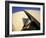 Sydney Opera House, UNESCO World Heritage Site, Sydney, New South Wales, Australia, Pacific-Mark Mawson-Framed Photographic Print