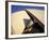 Sydney Opera House, UNESCO World Heritage Site, Sydney, New South Wales, Australia, Pacific-Mark Mawson-Framed Photographic Print