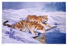 Siberian Tigers-Sydney Taylor-Limited Edition