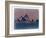 Sydney-NaxArt-Framed Art Print