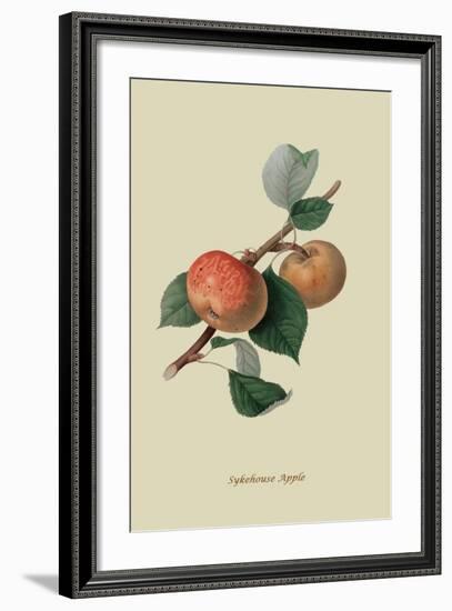 Sykehouse Apple-William Hooker-Framed Art Print