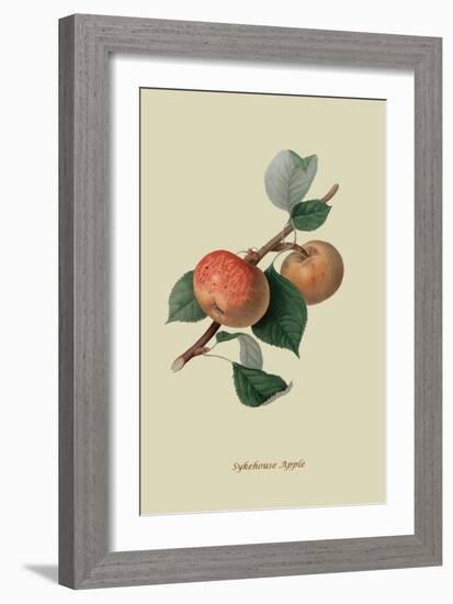 Sykehouse Apple-William Hooker-Framed Art Print