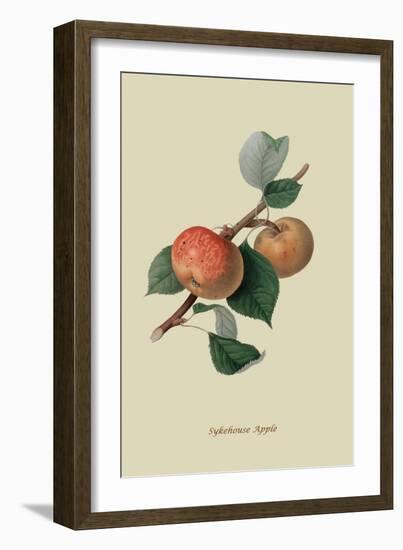 Sykehouse Apple-William Hooker-Framed Art Print