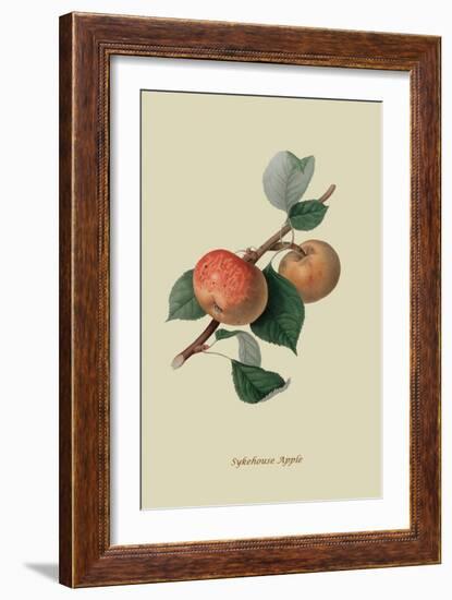 Sykehouse Apple-William Hooker-Framed Art Print