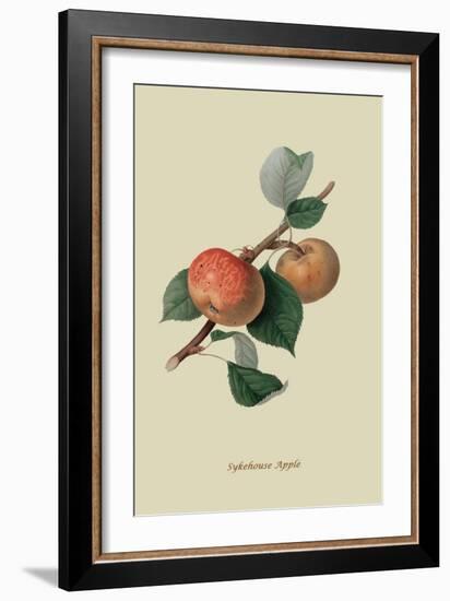 Sykehouse Apple-William Hooker-Framed Art Print