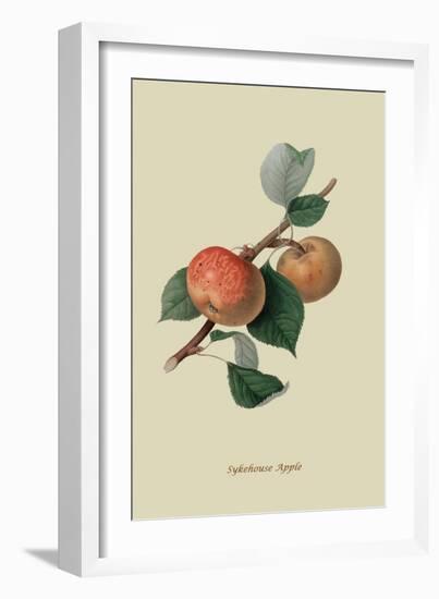 Sykehouse Apple-William Hooker-Framed Art Print