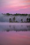 Lake in morning mist, Michigan, USA-Sylvain Cordier-Photographic Print