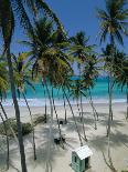 Palm Fronds and Beach, Rangiroa Atoll, Tuamotu Archipelago, French Polynesia, South Pacific Islands-Sylvain Grandadam-Photographic Print
