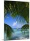 Premium Photographic Print