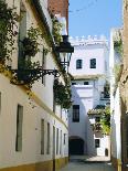 View of Alfama District and the Tagus River, Lisbon, Portugal, Europe-Sylvain Grandadam-Framed Photographic Print