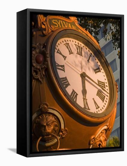 Sylvan Brothers Clock on Main Street, Columbia, South Carolina-Richard Cummins-Framed Premier Image Canvas