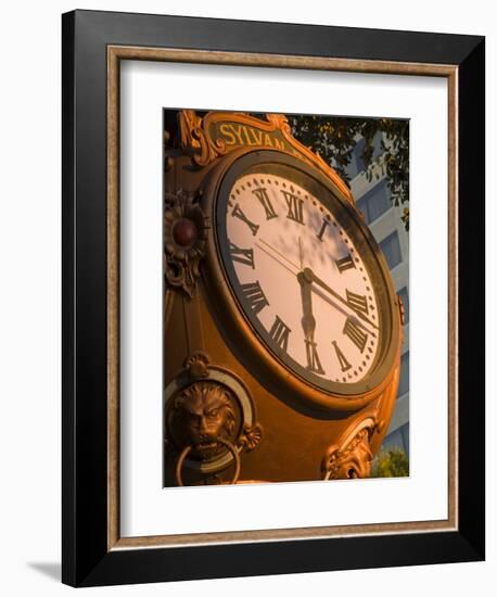 Sylvan Brothers Clock on Main Street, Columbia, South Carolina-Richard Cummins-Framed Photographic Print