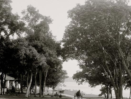 Photo, , large