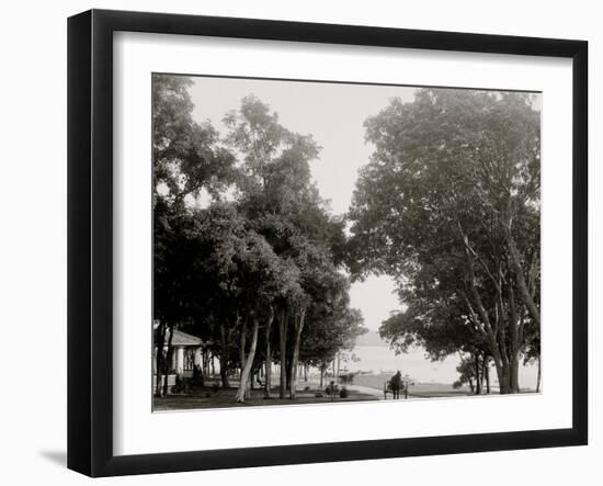 Photo, , large