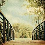 Bridge to Paradise-Sylvia Coomes-Photographic Print
