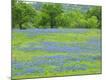 Premium Photographic Print
