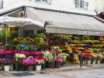 Flower market, Rue Cler, Paris-Sylvia Gulin-Photographic Print