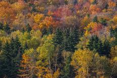 USA, New Hampshire just north of Jackson on highway 16 with the hillside covered in Autumns colors-Sylvia Gulin-Photographic Print